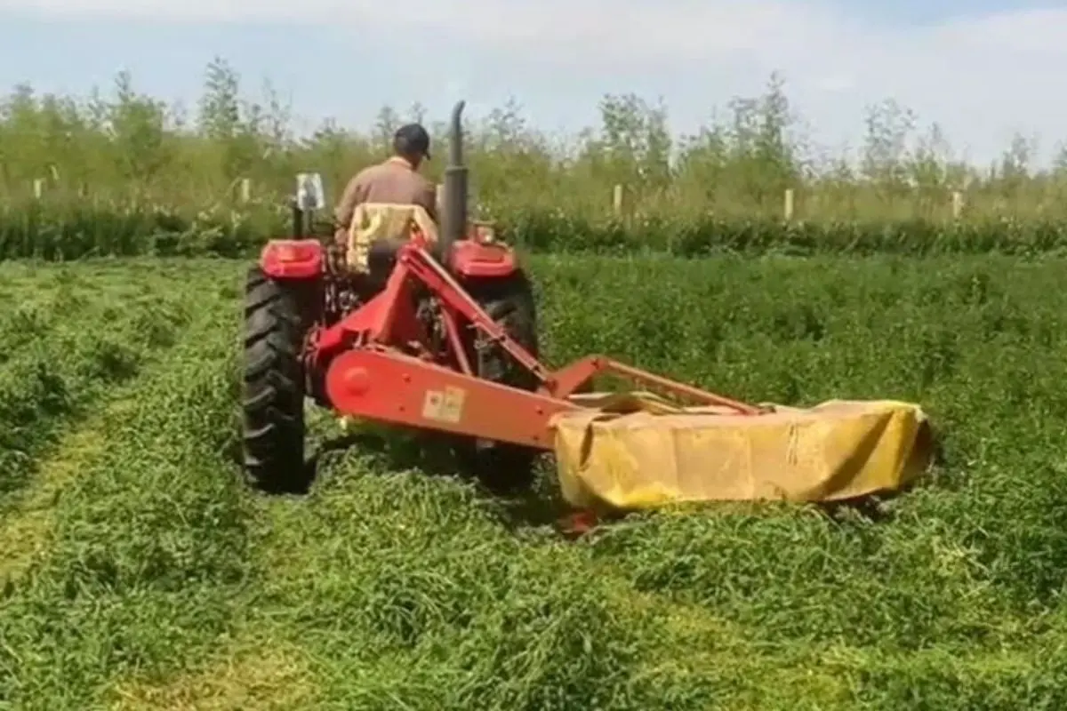 DM rotary drum mower rotary drum mower rotary drum mower for sale